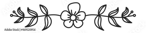 Hand drawn divider with flower and leaves. Decorative separator