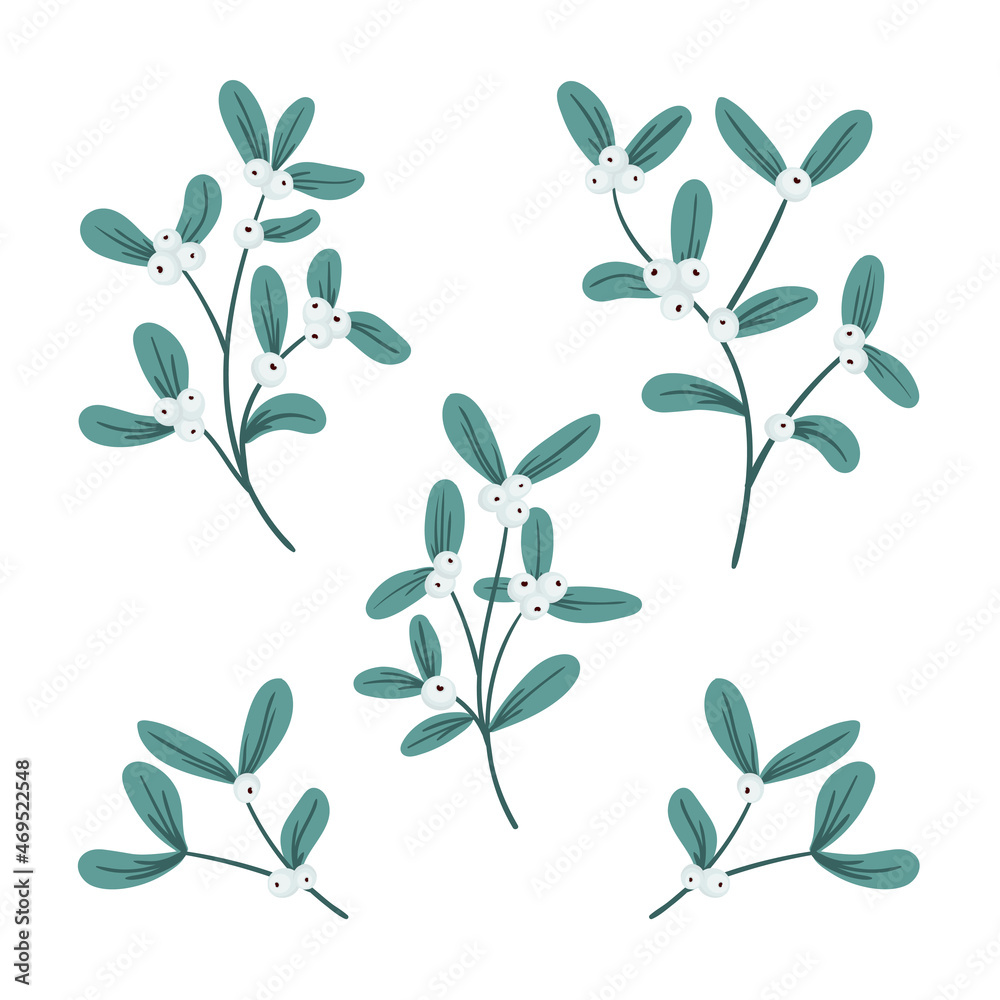 Mistletoe, viscum branches with oblong leaves and berries vector set. Sprigs of Christmas, New Year holiday symbol isolated on white background. Mistletoe, viscum branches with oblong leaves and berries vector set. Sprigs of Christmas, New Year holiday symbol isolated on white background.