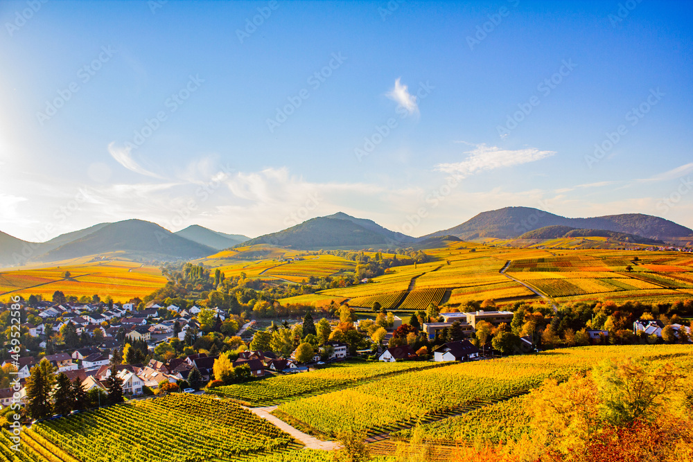 Ausblick von der kleinen Kalmit Südpfalz