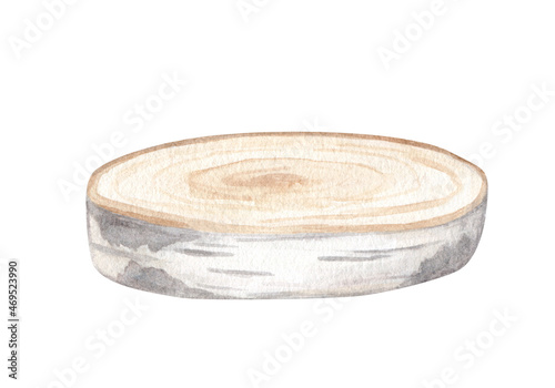Tela Watercolor birch wooden slice