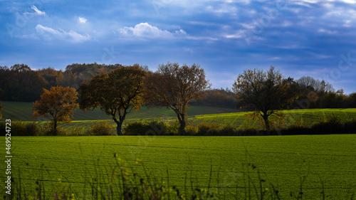 Die Farben des Herbstes photo