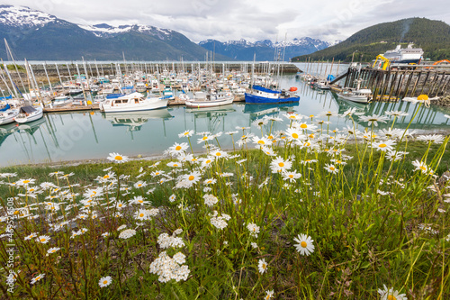 View of the harbor in Haines, Southeast Alaska photo