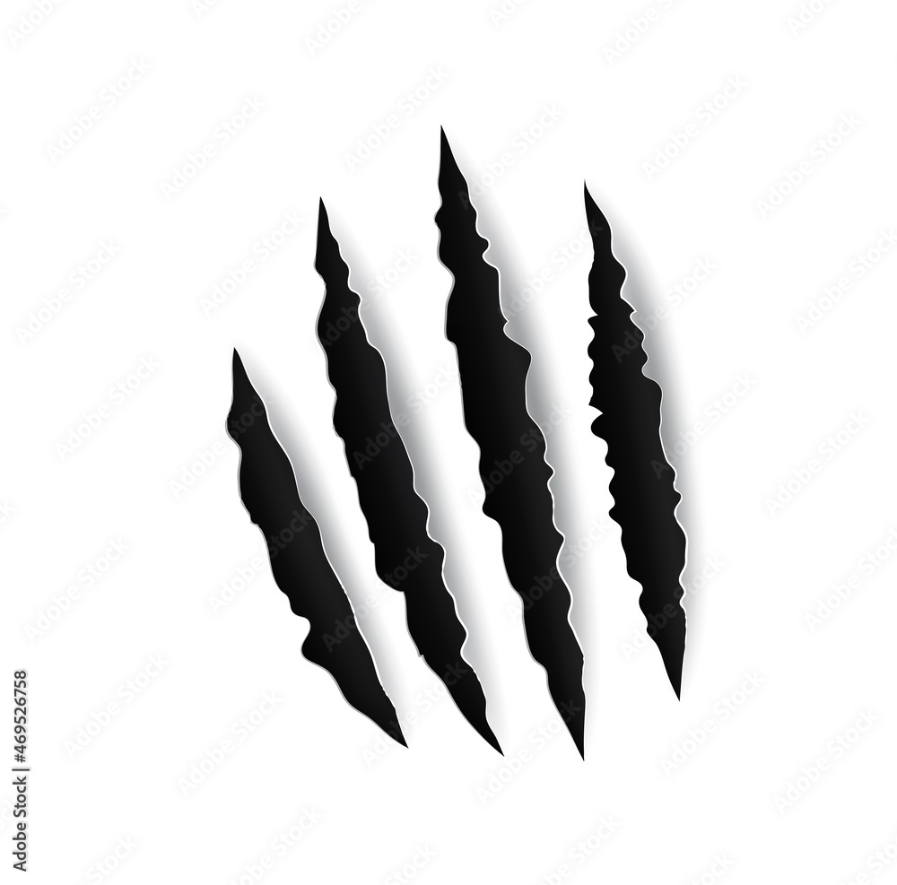 Grizzly bear claw marks and scratches, vector torn cracks of wild animal. Grizzly bear paw marks or monster beast claws with sharp fissures, damaged breaks and hollow scraps on white background - obrazy, fototapety, plakaty 