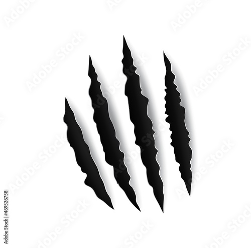 Grizzly bear claw marks and scratches, vector torn cracks of wild animal. Grizzly bear paw marks or monster beast claws with sharp fissures, damaged breaks and hollow scraps on white background