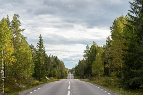 Journey Through Sweden. A picturesque road trip through Sweden's vast landscapes, surrounded by towering trees and open skies, encapsulating the country's diverse terrain.