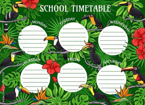Cartoon toucan birds education timetable schedule. School vector weekly template for student with tropical palm leaves and flowers. Time table classes with exotic jungle hibiscus blossoms and toucans