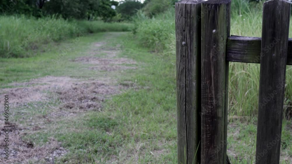 Trail with grass in the park. On the right is a wooden fence. Trail with grass in the park. On the right is a wooden fence.