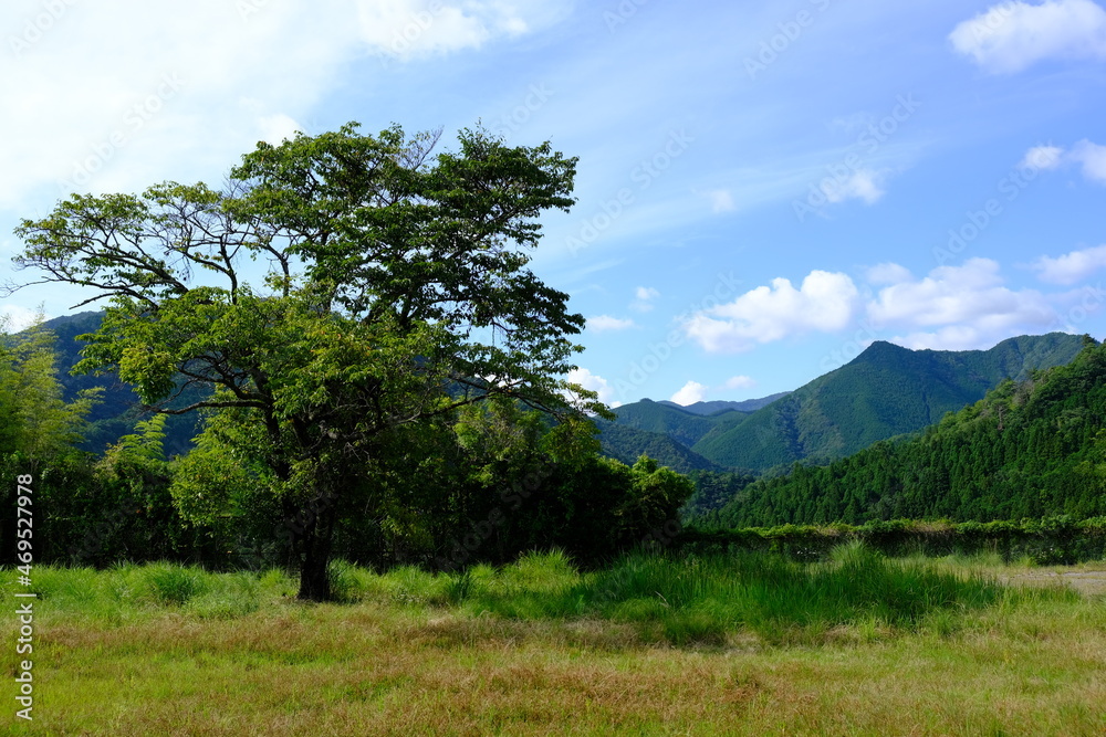 Obraz premium 田舎