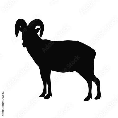 Obraz na plátně Ram silhouette. Simple vector illustration.