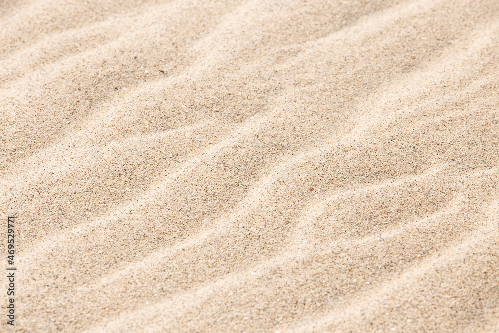 sand texture sand texture