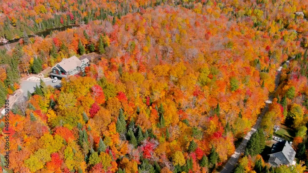 4K camera drone panning panorama view of stunning autumn foliage colors and secluded lake houses. 4K camera drone panning panorama view of stunning autumn foliage colors and secluded lake houses.