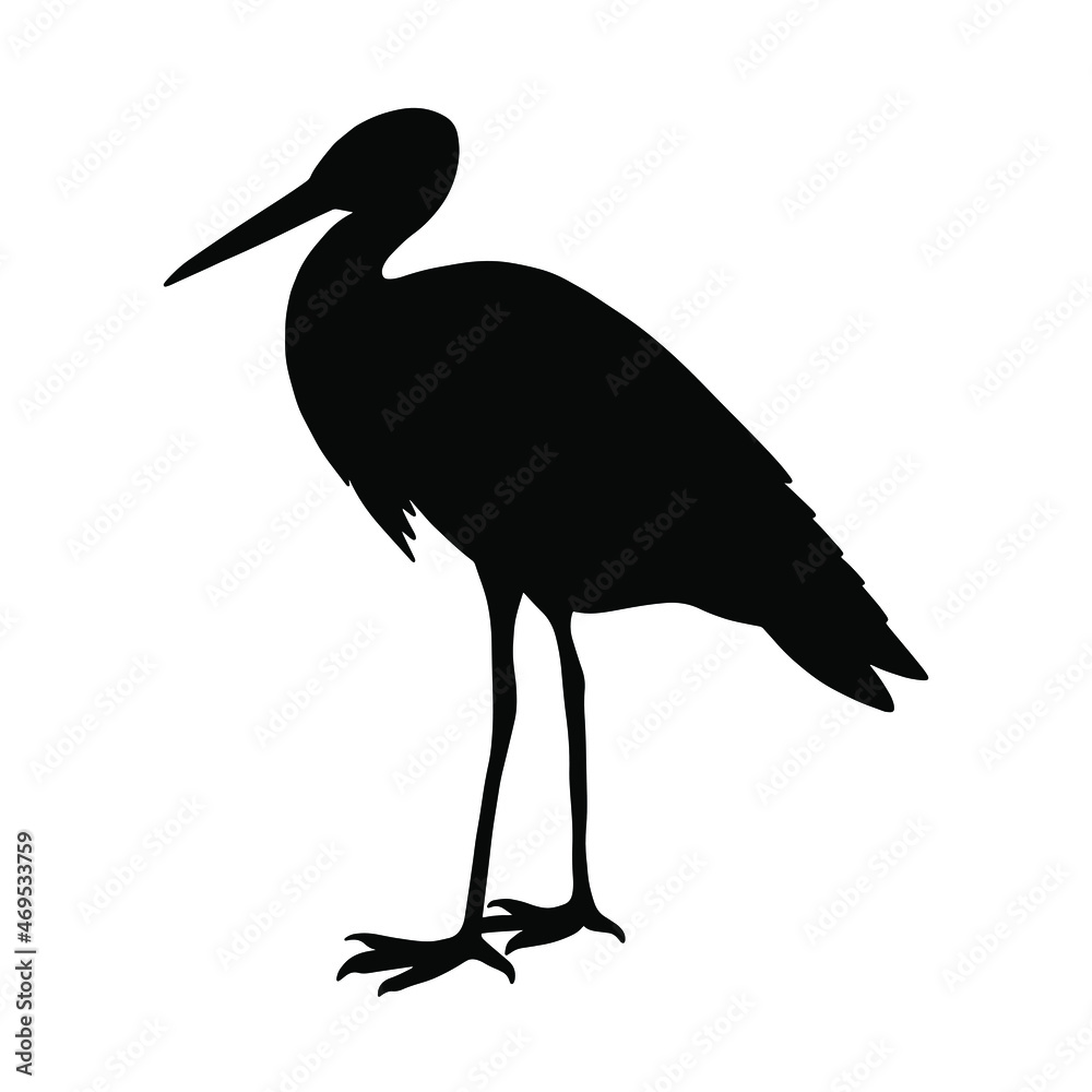 Stork silhouette on a white background. Vector illustration. Stork silhouette on a white background. Vector illustration.