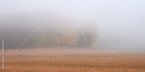 Fog in Tuusula in Finland: fields, forest, autumn colors, no people.