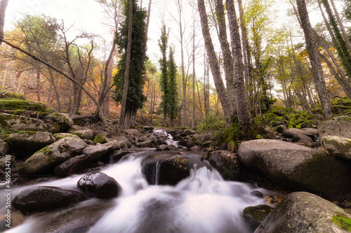 waterfall in the woods
