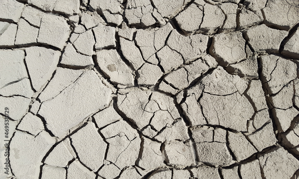 Fototapeta premium Cracks on dry land in the hot weather - Texture