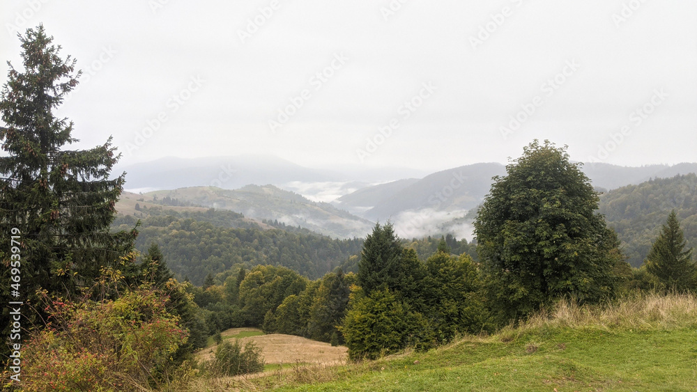 Obraz premium landscape in the mountains