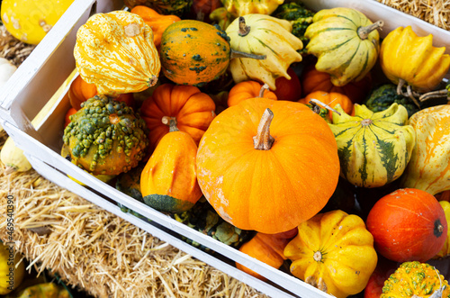 Fresh mix pumpkins  basket in wood. Autumn vegetables food thanksgiving.