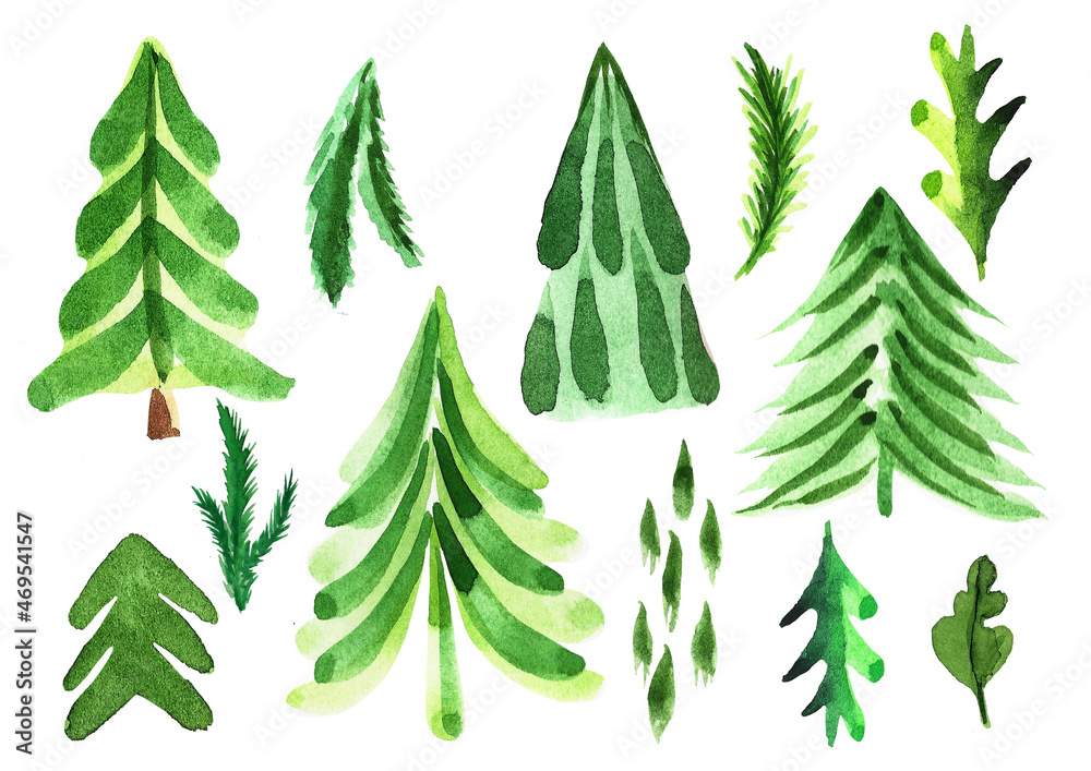 Set of watercolor fir trees. Hand painted spruce forest illustration. Set of watercolor fir trees. Hand painted spruce forest illustration.