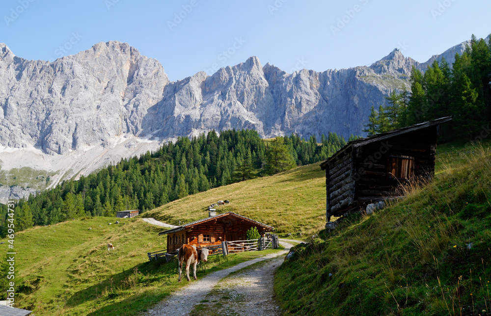 a pathway leading through the alpine scenery with log cabins in the Dachstein region in Austria (Neustatt Alm in Styria) a pathway leading through the alpine scenery with log cabins in the Dachstein region in Austria (Neustatt Alm in Styria)