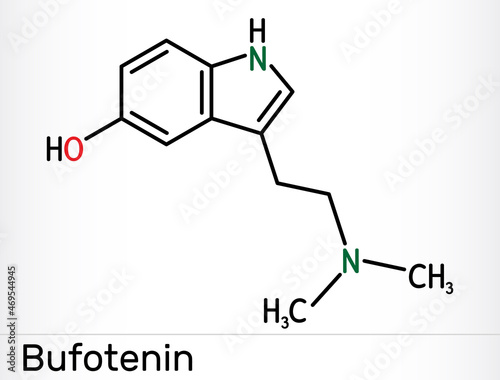 Bufotenin, 5-HO-DMT, bufotenine molecule. It is alkaloid, tryptamine derivative, hallucinogenic serotonin analog, found in toad skins, mushrooms. Skeletal chemical formula