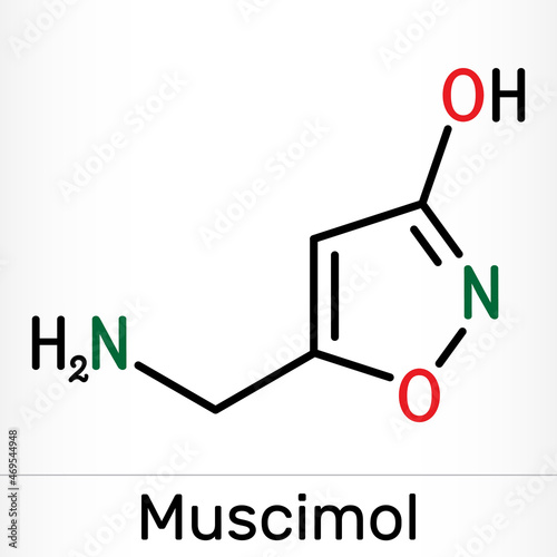 Muscimol, agarin, pantherine molecule. It is the main psychoactive component of the Amanita muscaria, red fly agaric and related species of mushrooms. Skeletal chemical formula