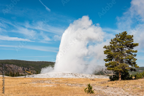 Famous Old Faithful geyser erupting, Yellowstone National Park