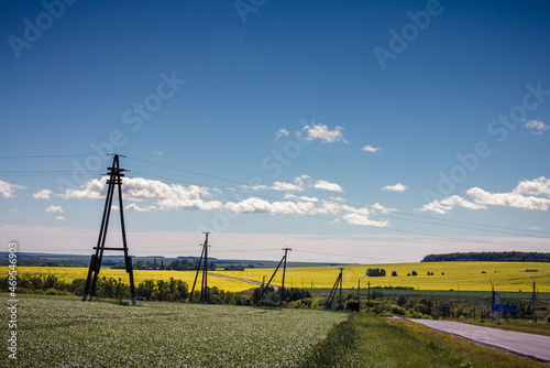Mustard fields South of Russia, flower field and Countryside