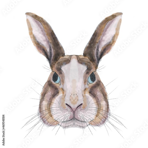 Ilustración digital de cabeza de conejo sobre fondo blanco. Trazos de acuarela. Animales del Horóscopo chino © Laura Bustos