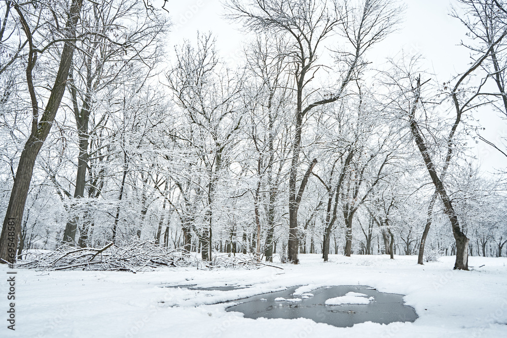 White snow covered winter city park, with frozen puddle in the middle of the road