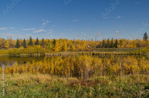 Autumn Scenery at Pylypow Wetlands