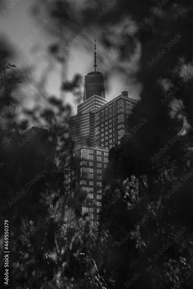 Fototapeta premium night city view