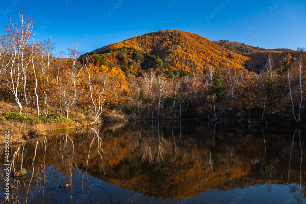 紅葉した秋の乗鞍高原 まいめの池 紅葉した秋の乗鞍高原 まいめの池