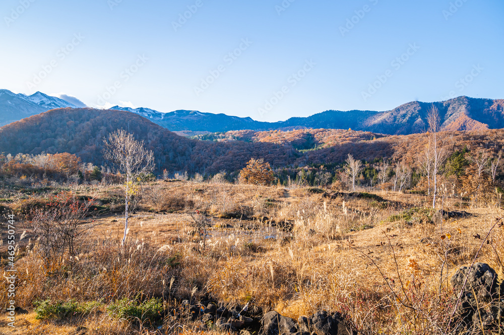 秋の乗鞍高原