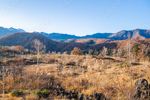 秋の乗鞍高原 © kikisora