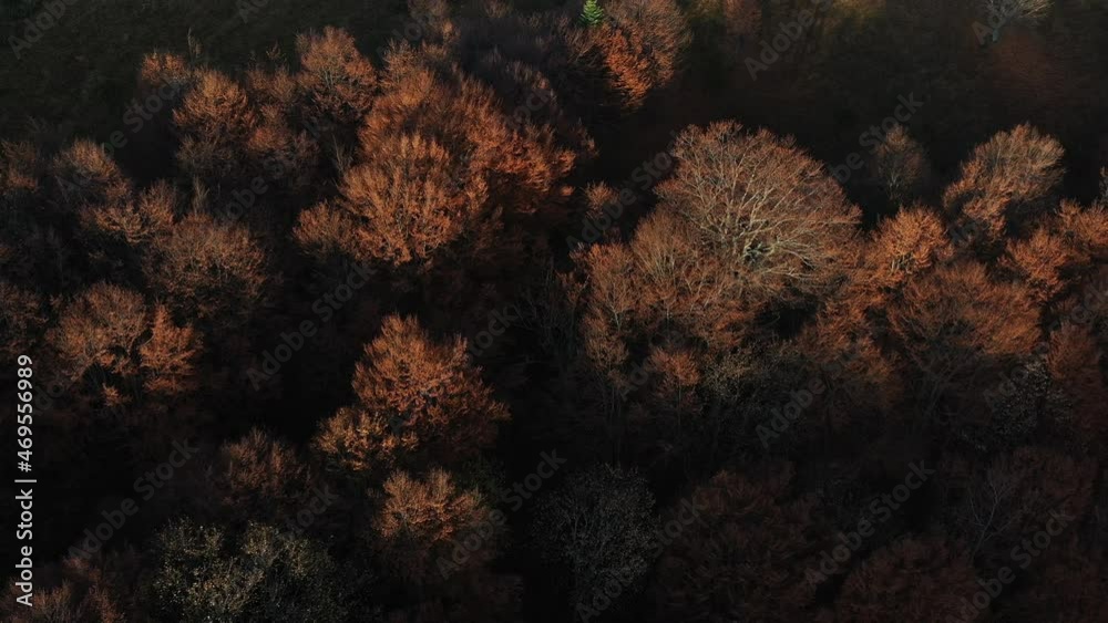 Aerial view of autumn mountains with woods at sunny daytime. Beautiful landscape Aerial view of autumn mountains with woods at sunny daytime. Beautiful landscape