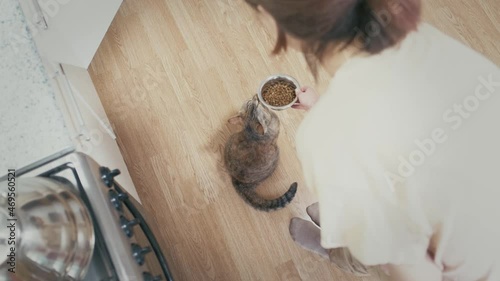A young woman bends over and puts a bowl of dry food on the floor. The cat starts to eat.