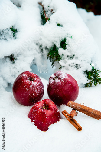 Apfel in der Schnee mit Zimtstange mit Christbaum 