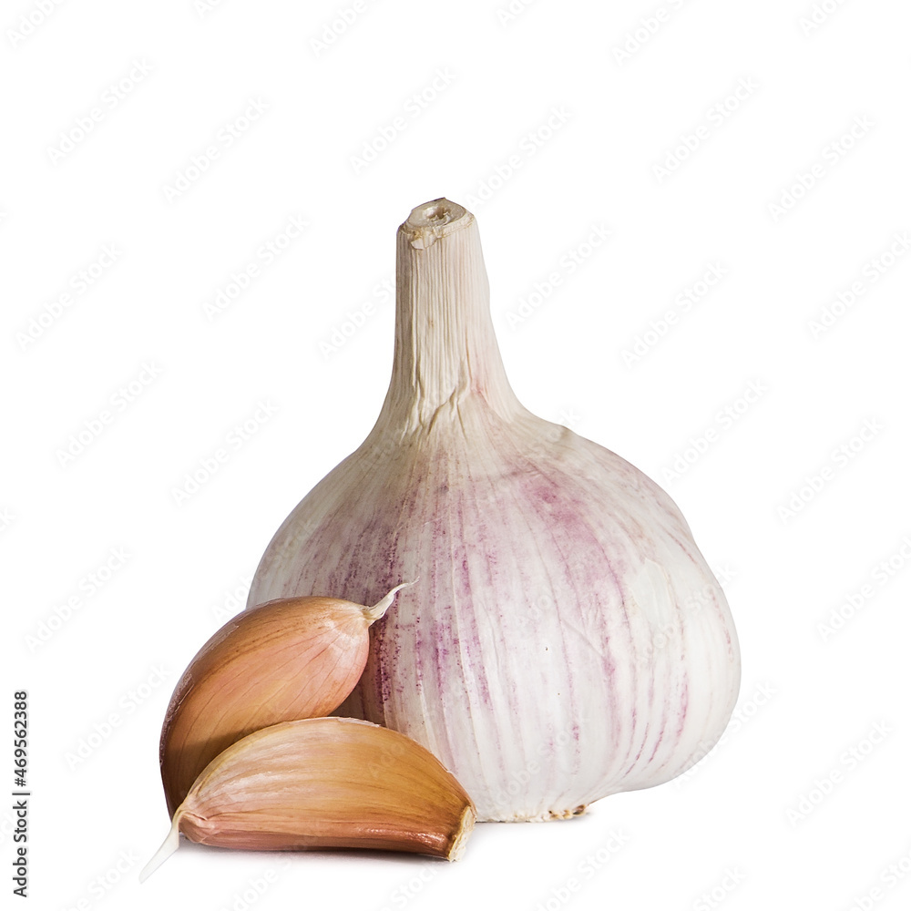 Obraz premium Whole light garlic in husk isolated on white background.