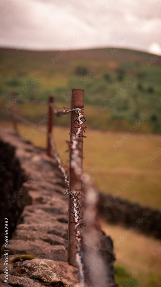 Fototapeta premium barbed wire on a fence