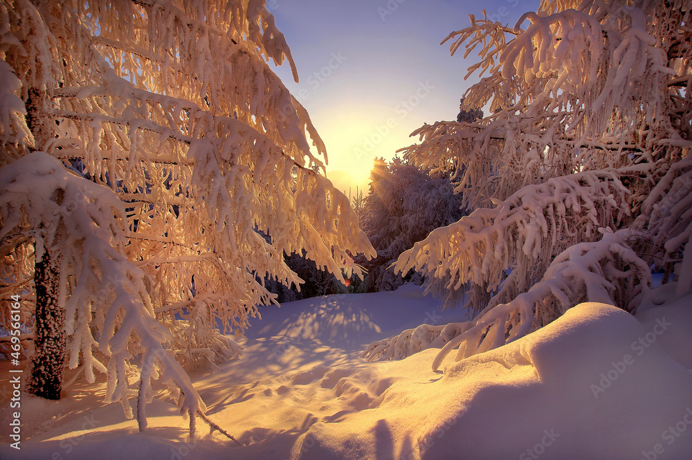 Obraz na płótnie Zimowy krajobraz w salonie