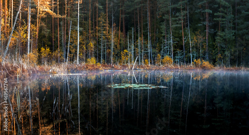 Moody atmospheric forest lake with reflections in the dark water. Autumn colors with warm sunlight.
