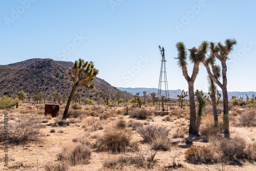 Remains of civilization in Joshua Tree National Park
