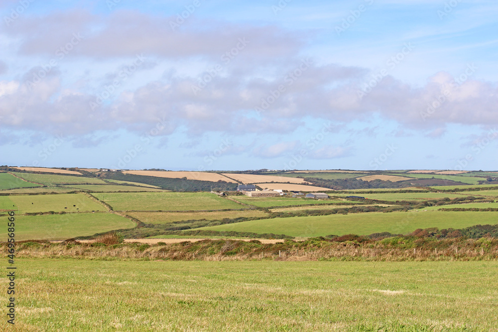 Fields in Pembrokeshire, Wales, in summer