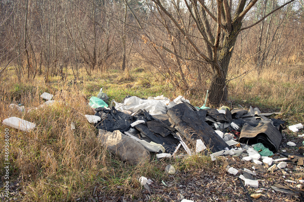 Large heaps of rubbish in the forest area. Massive forest pollution in Ukraine. A garbage heap in the forest Large heaps of rubbish in the forest area. Massive forest pollution in Ukraine. A garbage heap in the forest