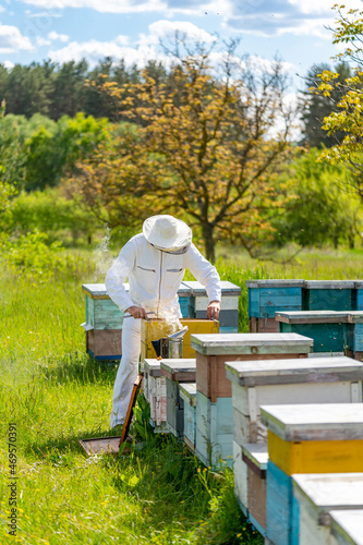 The beekeeper holds a honey cell with bees in his hands. Apiculture. Apiary concept