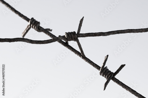Old barbed wire against a pale sky. Barbed wire closeup.