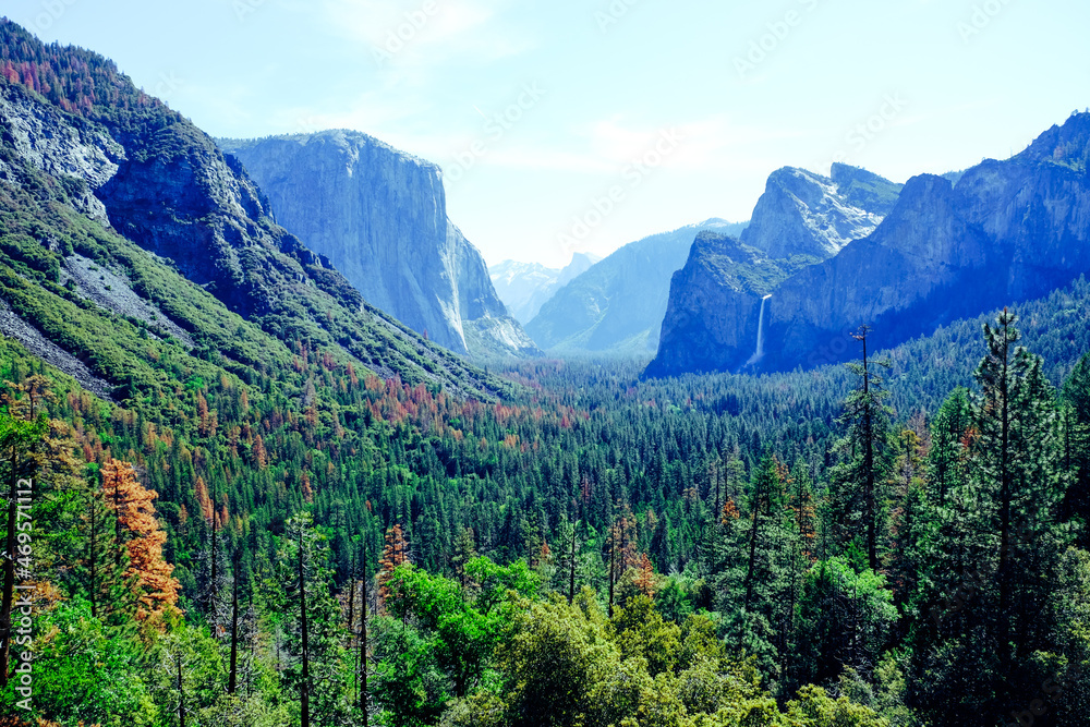 Fototapeta premium Yosemite national park in the united states of america.