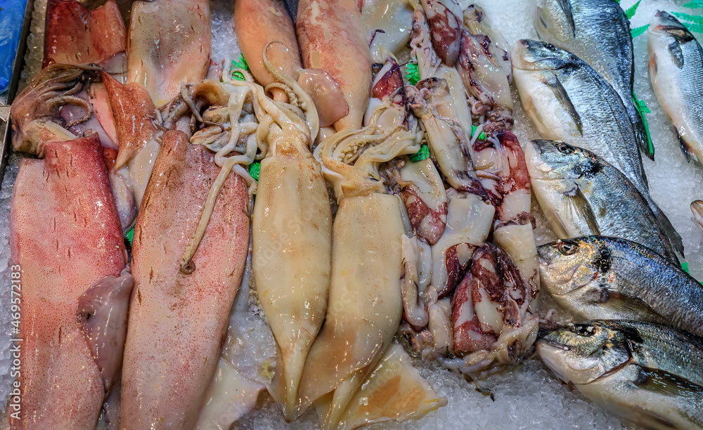 Fresh calamari and bass at a local fishmonger at the market in Pamplona Spain