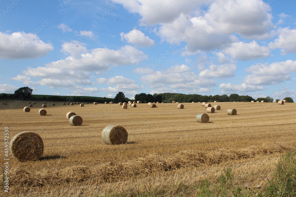 Round hay bales in a field on a summers day with blue sky and clouds in the sky waiting to be harvested Near Wakefield West Yorkshire in the UK