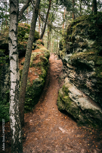 rock corridor in forest